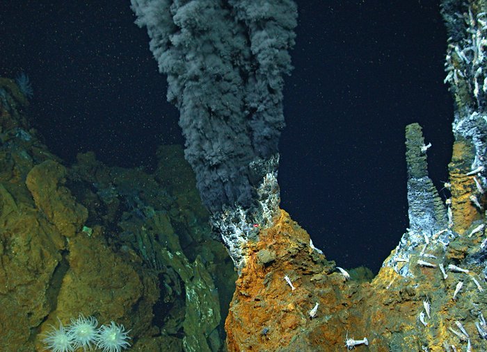 Too hot to host life, the high temperature Beebe Vents black smokers serve as the source fluids for nearby mixing zones that span the thermal boundary between habitable and uninhabitable below-seafloor environments.