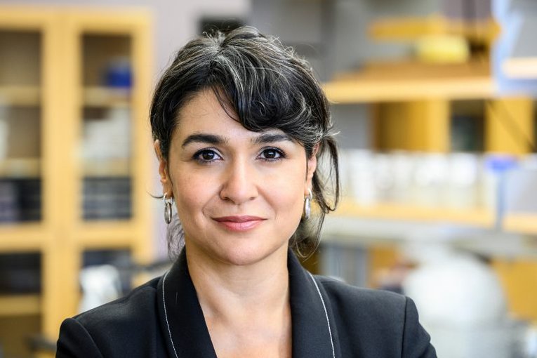 Betül Kaçar, assistant professor of bacteriology, is pictured in her research lab in the Microbial Sciences Building at the UW–Madison on Oct. 21, 2021.