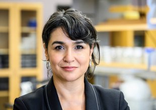 Betül Kaçar, assistant professor of bacteriology, is pictured in her research lab in the Microbial Sciences Building at the UW–Madison on Oct. 21, 2021.
