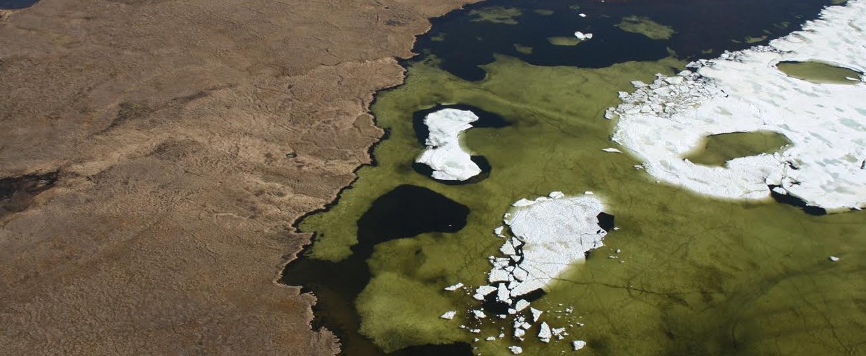 Algal bloom in Arctic pond near Tiksi viewed from a Soviet transport helicopter.