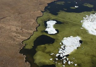 Algal bloom in Arctic pond near Tiksi viewed from a Soviet transport helicopter.