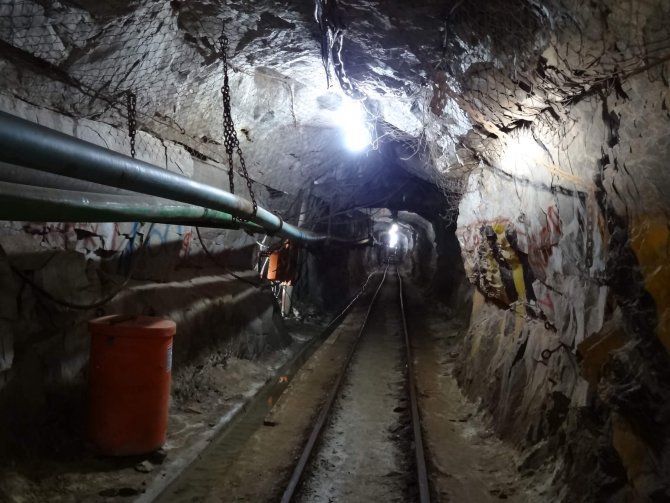 Tunnels in South Africa’s Beatrix mine close to where H. mephisto was found.  The deeper one goes in the mine, the hotter it gets.  And yet life survives in the fracture water and other often tiny pockets of liquid.