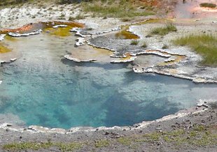 Octopus Spring in Yellowstone National Park. Credit: David Strong, Penn State University