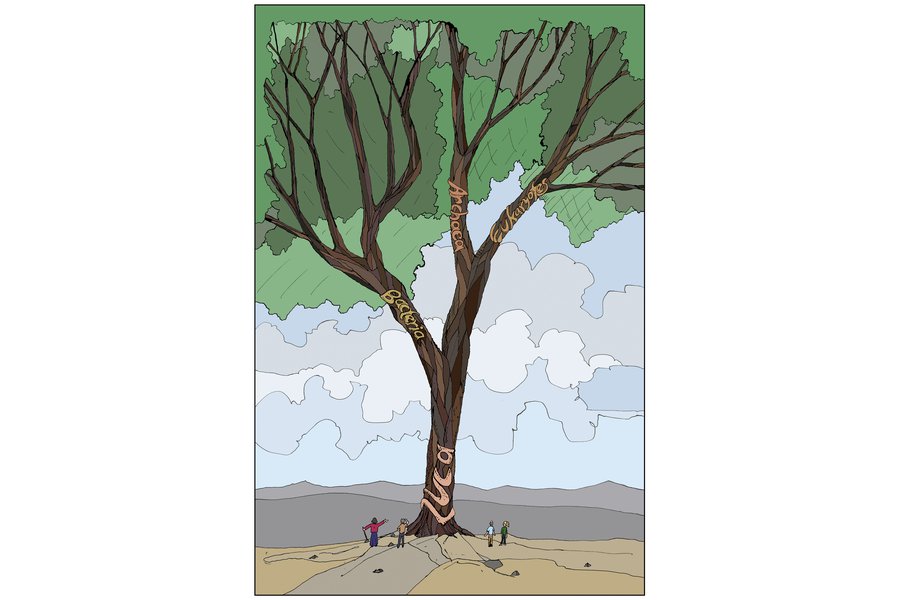 DNA has been essential in understanding the ‘Tree of Life’, helping astrobiologists map the relationships between all the different types of organisms on Earth and to trace the evolution of genetic material. Issue 7 of the Astrobiology Graphic History.