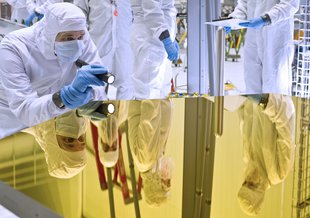 The bottom half of the frame is filled with the golden, reflective surface of one of Webb's mirrors. An engineer in a bunny suit crouches looking over the mirror and examining it.