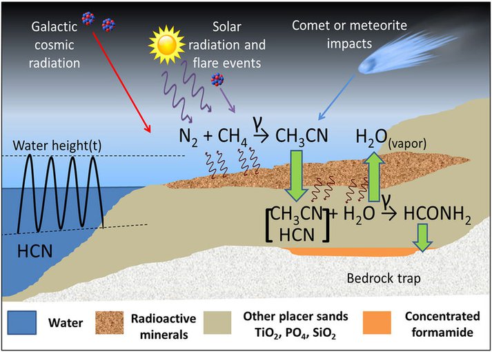 Proposed formamide synthesis and concentration process, depicting localized production and concentration of formamide (HCONH2) near radioactive mineral deposits on terrestrial surface environments.