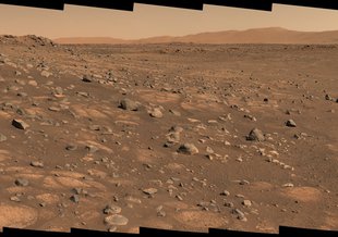 A light-colored “paver stone,” like the ones seen in this mosaic image, will be the likely target for first sampling by the Perseverance rover. This image was taken July 8, 2021, in the “Cratered Floor Fractured Rough” geologic unit at Jezero Crater.
