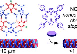 Supramolecular polymers are a kind of molecule constructed from smaller parts (monomers) that are not directly bonded to each other. Researchers found a way to control the length of these polymers in aqueous solution.