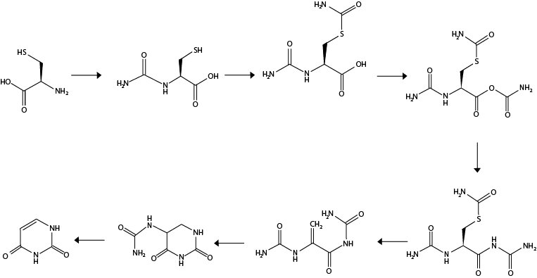 Graphical abstract adapted from Mirchi et al. (2018). "Catalytic abiotic synthesis of uracil from cysteine and urea: Theoretical studies," Chemical Physics Letters, 710(16), 16-25