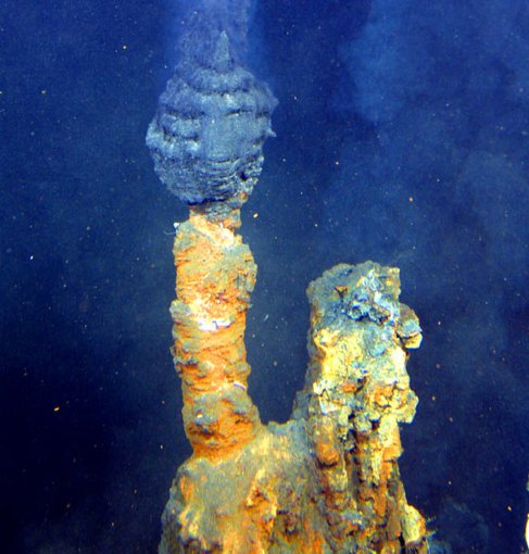 Alkaline hydrothermal vents may have played a role in the origin of life.