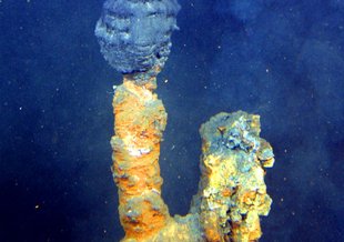 Alkaline hydrothermal vents may have played a role in the origin of life.