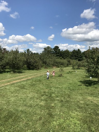 Children play in the wooded landscape near Decorah, Iowa.