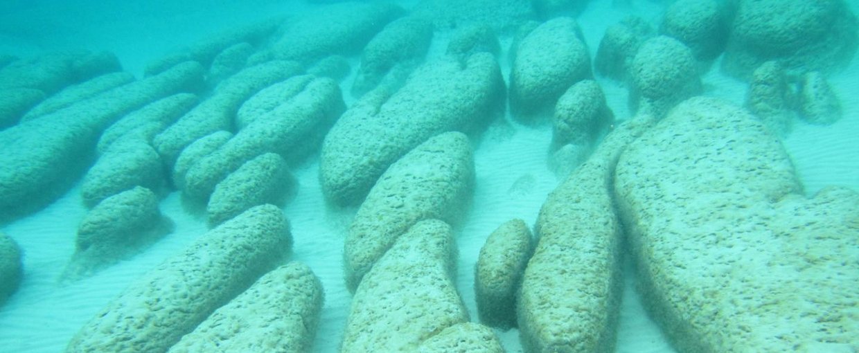 Core program: Exobiology. This image shows elongate nested stromatolites in Australia's Hamelin Pool.The research was supported in part by the Exobiology element of the NASA Astrobiology Program.