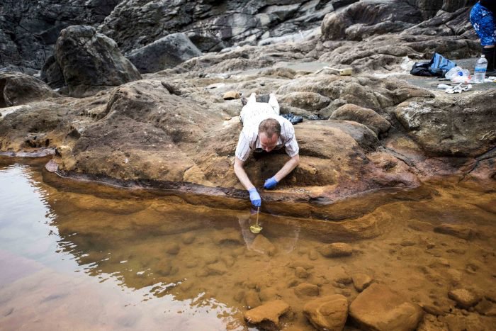 Shawn McGlynn, associate professor at the Earth Life Science Institute in Tokyo scoops some iron-rich water from a channel on Shikine-jima Island, 100 miles from Tokyo.
