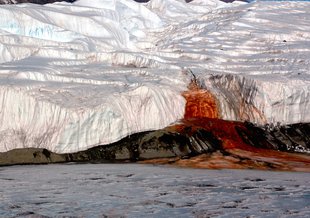"Blood Falls" seeps from a buried saltwater reservoir at the end of East Antarctica's Taylor Glacier. Observations have revealed lakes and streams hidden beneath Antarctic ice.