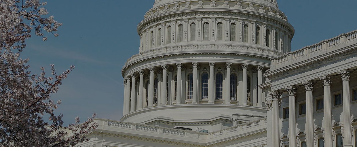 United States Capitol, Washington, D.C., United States.