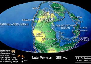 Earth 255 million years ago.