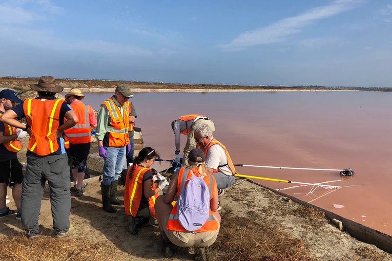 In the left foreground of the image, scientists are gathered on the shores of a salt pond. They are dressed in plain clothes with bright orange safety vests. A few crouch at the edge of the murky, pink water collecting samples in containers on poles.