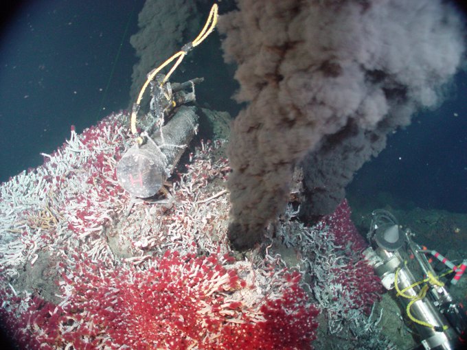 A hydrothermal vent in the north-east Pacific Ocean, similar to the kind of environment in which LUCA seems to have lived.