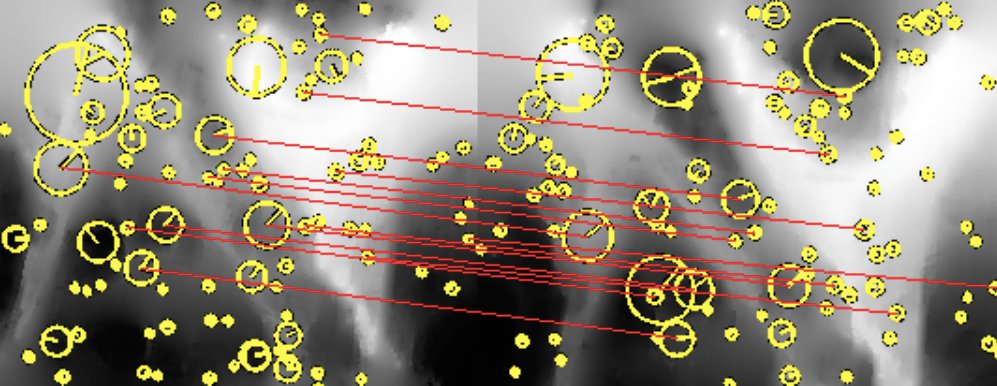 Matching features between two successive passes along the Soquel Canyon wall. The features are shown as yellow circles and matching features are connected in red. There are sufficient correspondences to declare an image match.