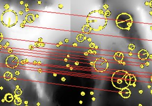 Matching features between two successive passes along the Soquel Canyon wall. The features are shown as yellow circles and matching features are connected in red. There are sufficient correspondences to declare an image match.