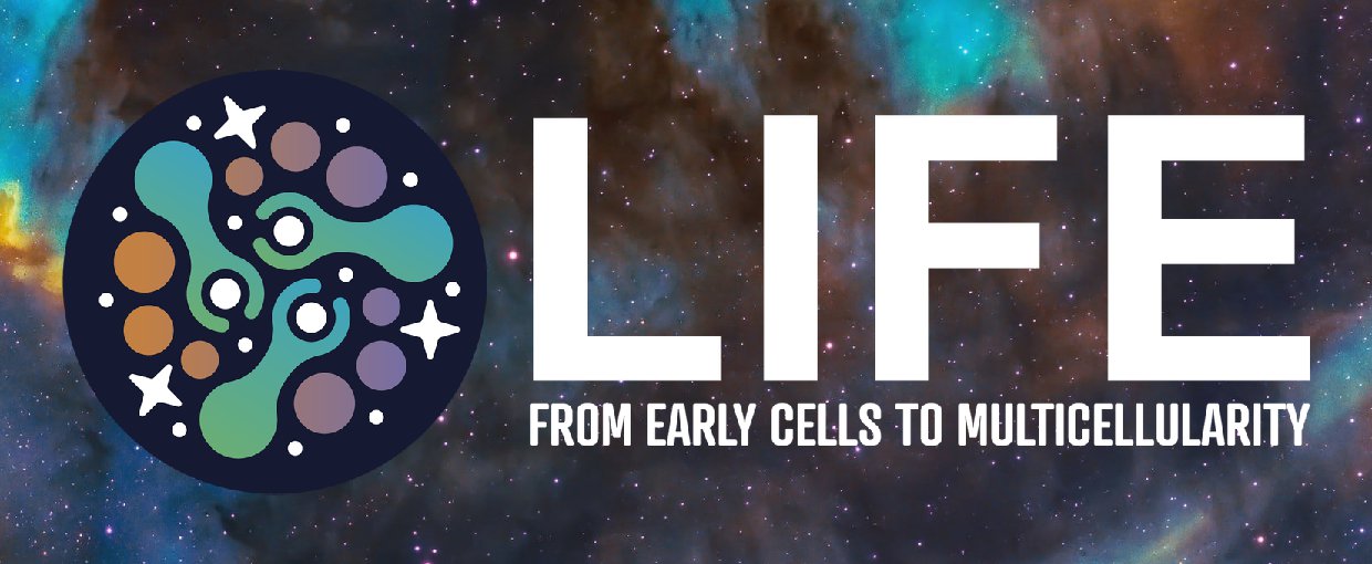 LIFE: Early Cells to Multicellularity is a research coordination network focused on the co-evolution of life and the environment on Earth.