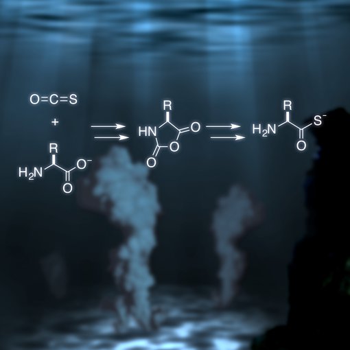 Amino acids are converted to amino thioacids in the presence of COS, a component of volcanic emissions.