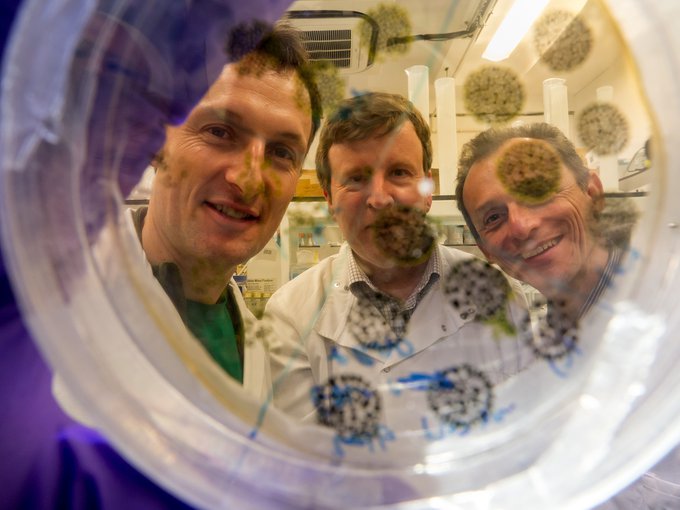 The UK Centre for Astrobiology runs numerous courses, including geology courses for astronauts at the University of Edinburgh, UK. Pictured here are ESA astronauts Pedro Duque (right) and Matthias Maurer (left) with Charles Cockell (centre).