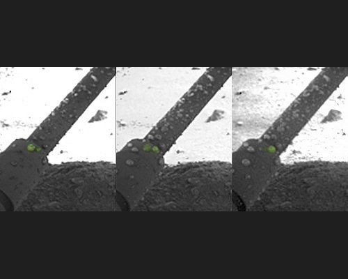 Droplets of liquid were observed on the lander struts of Phoenix.