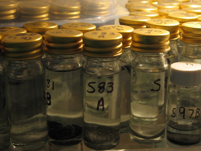 Preserved samples from the Chesapeake Bay Impact Structure (CBIS) used for biological studies.
