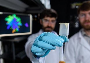 Physicist Peter Yunker and evolutionary biologist Will Ratcliff in Yunker's lab at Georgia Tech. Yunker holds a sample of nascent multicellular yeast clusters used in the experiments.