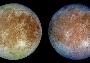 A computer simulation gives an idea of how Europa's magnetic field interacted with an erupting plume. Magnetic field lines (blue) show how the plume interacts with the ambient flow of Jovian plasma. Red colors on the lines show more dense areas of plasma.