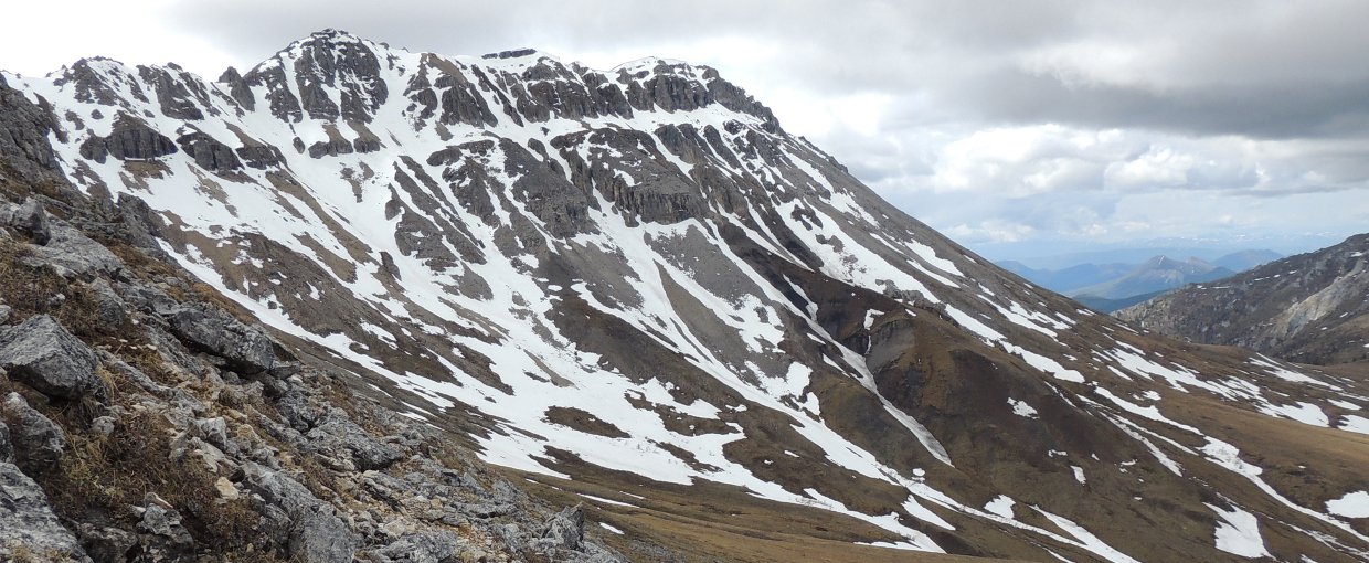 View of Mount Slipper looking towards the layers of rock that contain biomineralized fossils.