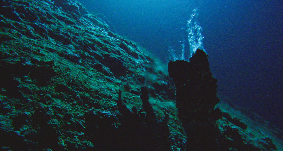 A view of the newly discovered Apollo Vent Field at the northern Gorda Ridge in the Pacific Ocean.