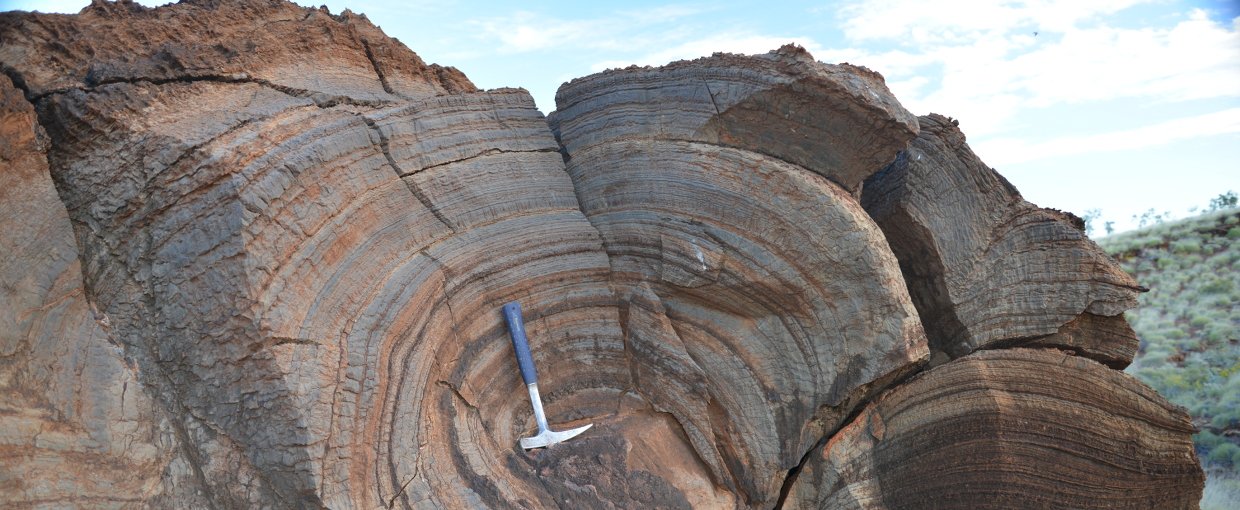 The layers on this 2.7 billion-year-old rock, a stromatolite from Western Australia, show evidence of single-celled, photosynthetic life on the shore of a large lake. The new result suggests that this microbial life thrived despite a thin atmosphere.