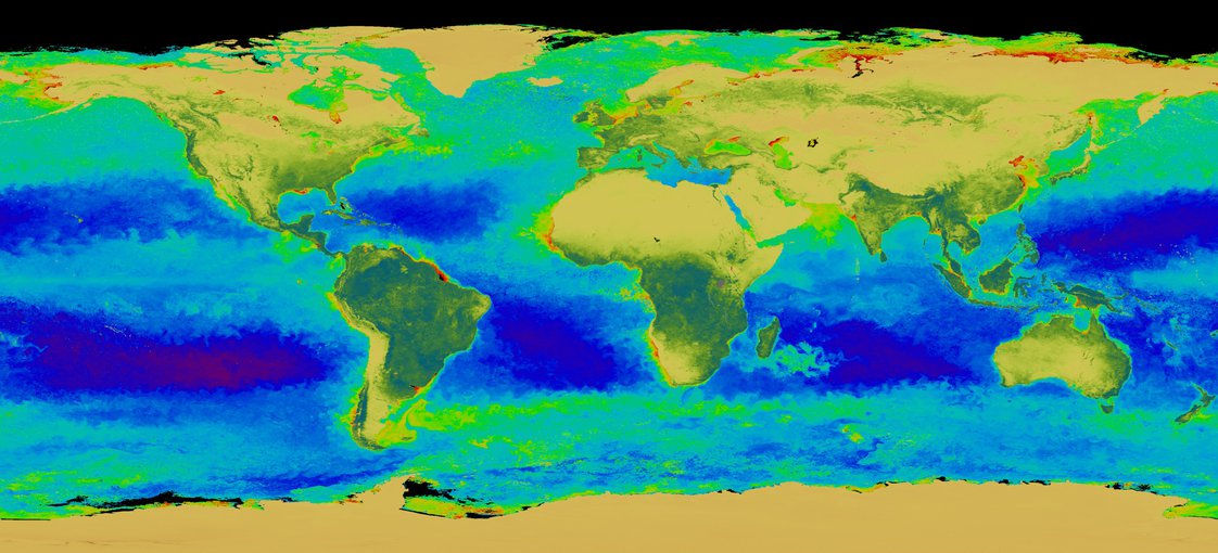 The SeaWiFS instrument looks at the world's oceans and land to observe the plant life and phytoplankton. By monitoring the color of reflected light via satellite, scientists can determine how successfully plant life is photosynthesizing.