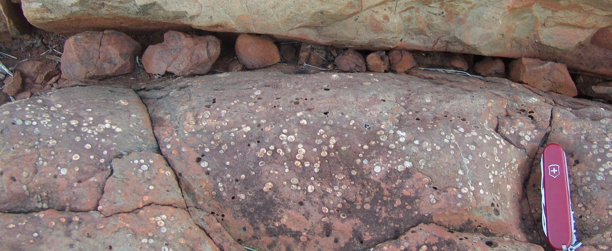 One of the lava flows analyzed in the study, from the shore of Australia’s Beasley River. Gas bubbles that formed as the lava cooled, 2.7 billion years ago, have since filled with calcite and other minerals. The bubbles now look like white spots. 