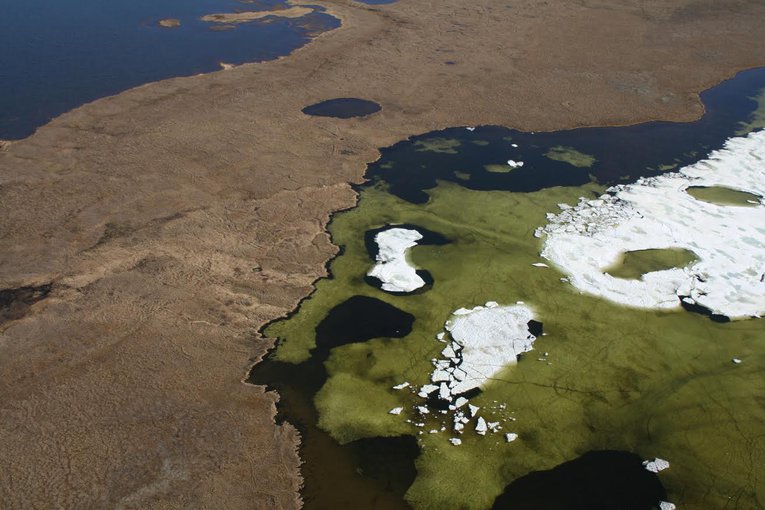 Algal bloom in Arctic pond near Tiksi viewed from a Soviet transport helicopter.