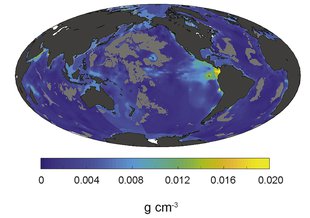 Concentration of particular organic carbon (POC) at 10 m below the seafloor (LaRowe et al. 2020)