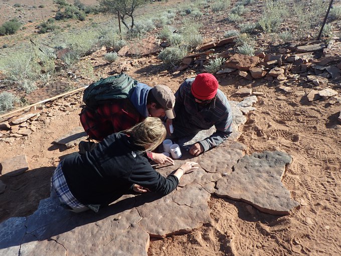Three researchers crouch atop a fossil bed examining features in the stone. It is a rocky, dusty landscape with bushes seen in the background.
