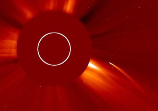 A Sun-grazing comet imaged by the joint NASA–ESA Solar and Heliospheric Observatory (SOHO) mission.