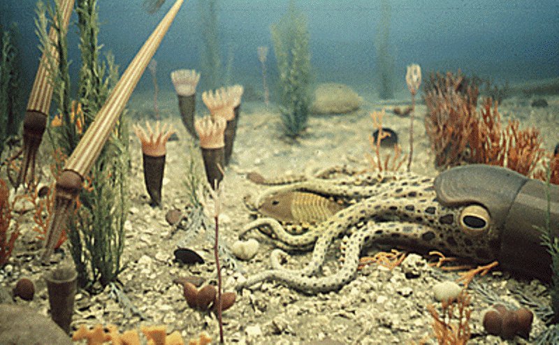 The marine life of the Ordovician fell victim to a mass extinction, the cause of which might have been a gamma ray burst. Credit: Diorama of the Ordovician from the Smithsonian’s National Museum of Natural History, William B.S. Berry