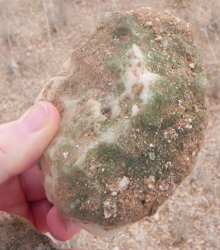 An example of hypolithic cyanobacteria on a quartzite rock found in the Namib Desert in Namibia.