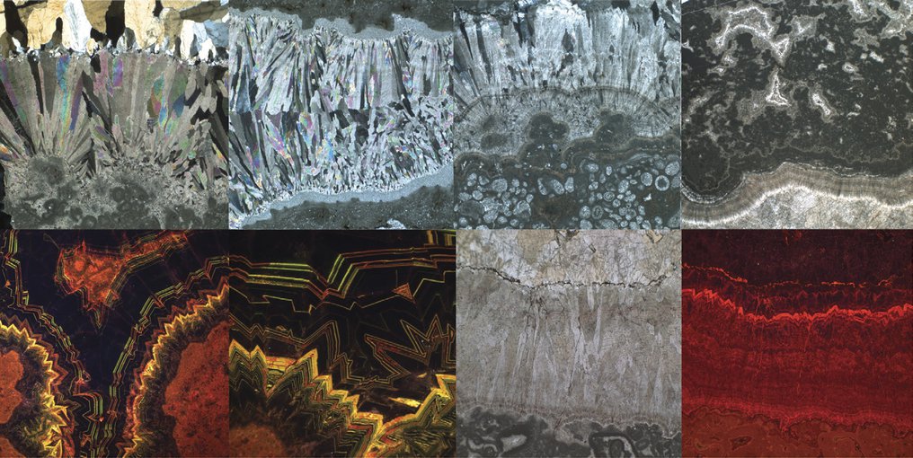 Images of carbonate components in marine cements from the Balcanoona reef in South Australia. Source: A. Hood, et. al., via Geological Society of America.