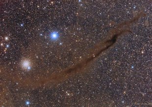 This snakelike gas cloud (center dark area) in the constellation Musca resembles a skinny filament. But it’s actually a flat sheet that extends about 20 light-years into space away from Earth, an analysis finds.