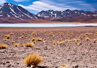 Atacama Desert, site of the 2015 PSTAR project ARADS: Atacama Rover Astrobiology Drilling Studies.