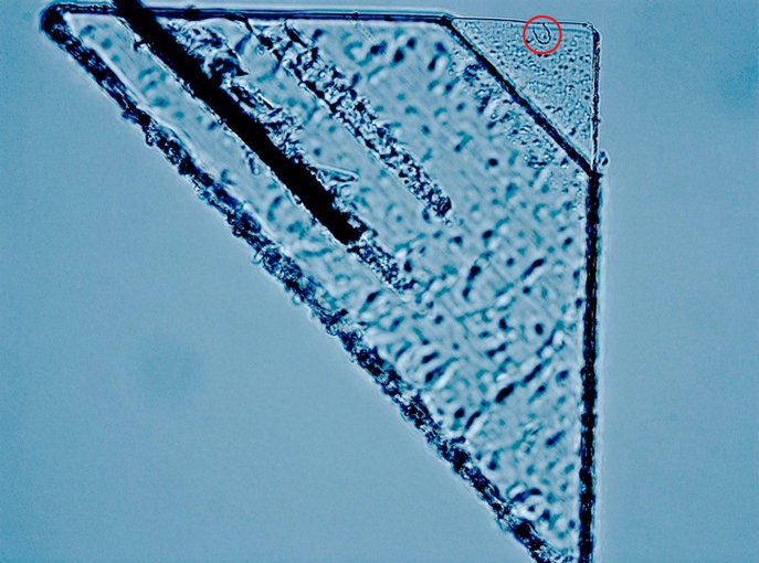 A potential interstellar dust track (circled) in Stardust’s aerogel collector.